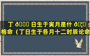 丁 🐎 日生于寅月是什 🦋 么格命（丁日生于各月十二时辰论命）